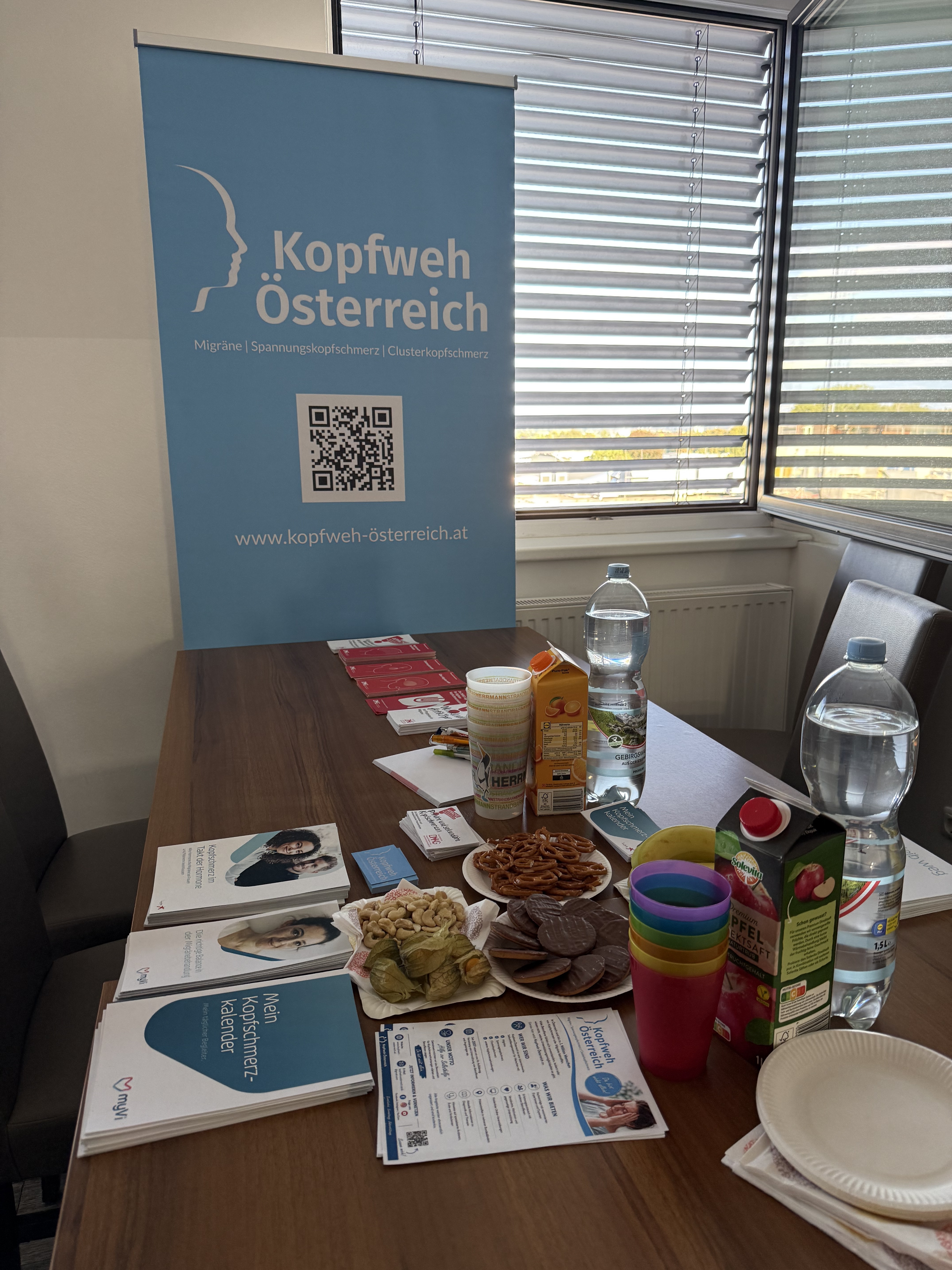 Teilnehmer:innen beim Erfahrungsaustausch von Kopfweh Österreich in Graz